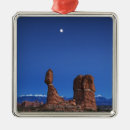Search for moonlight ornaments Outdoors