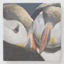 Search for puffin coasters Pelagic