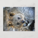Recherche de mignonne cartes postales Toute personne