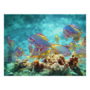 Search for wildlife photography posters Marine life