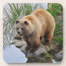 Search for edge coasters Wildlife