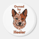 Search for heeler magnets Cattle dog