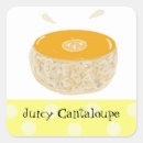 Search for cantaloupe stickers Orange