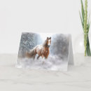 Search for appaloosa christmas cards Snow