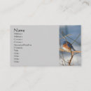 Recherche de oiseaux sauvages cartes visite Customer