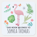 Search for tropical plates Flamingo