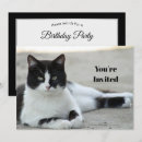 Search for tuxedo cat invitations Feline