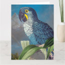 Search for macaw birthday cards Wildlife