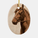 Search for paint horse ornaments Equestrian