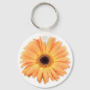 Search for gerberas keychains Orange