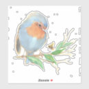 Recherche de robin birds autocollants Aquarelle