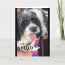 Search for fabulous friend birthday cards Dog