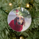 Recherche de chien memorial ornements Buffle