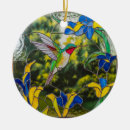 Recherche de oiseaux colorés ornements Colibri