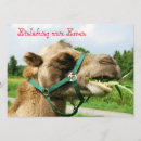 Search for camel desert invitations Animal