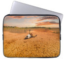 Search for cattles electronics Desert