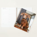 Search for mini planners Cute