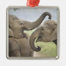 Search for indian elephant ornaments Meadow