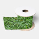 Recherche de herbes rubans Plante