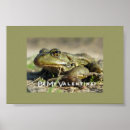Search for frog lover art Valentine