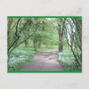 Search for forest path photography Trees