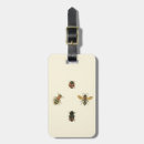 Search for beetle accessories Nature