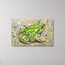 Recherche de spadefoot Faune