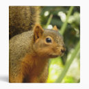 Search for nature binders Animal