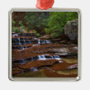 Search for zion national park ornaments Desert