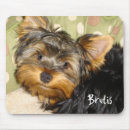 Search for yorky electronics Canine