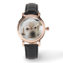 Search for dog napping accessories Pet