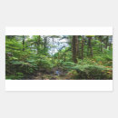 Search for rainforests stickers For kids