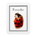 Recherche de coccinelles magnets Chic
