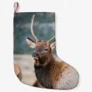 Search for elk christmas stockings Bull