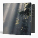 Search for sunlight binders Forest