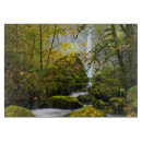Search for maple cutting boards Green
