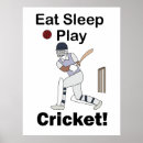 Search for cricket fan posters Ball