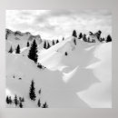 Search for alpine posters Snow