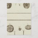 Recherche de neuf cartes postales Gravé