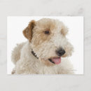 Search for small square postcards Full length