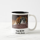 Search for st bernard mugs Puppies
