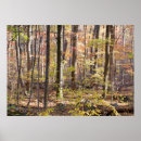Recherche de foliage art Country