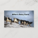 Recherche de vache holstein cartes visite Agriculteur