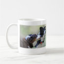 Recherche de rassemblement du chien tasses Border collie