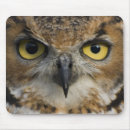 Search for eagle eye electronics Animal