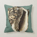 Search for conch shell pillows Shells