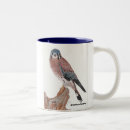 Search for american kestrel mugs Nature