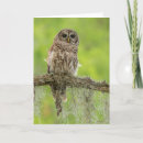 Search for limb cards Owl