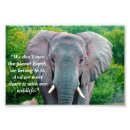 Search for elephant conservation posters Wildlife