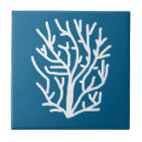 Search for coral and white tiles Underwater